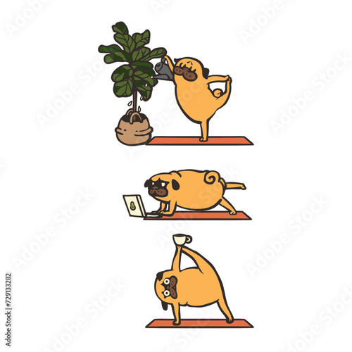 Pug Yoga from Home