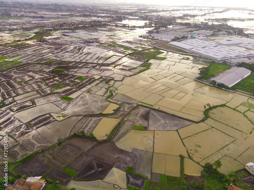 Amazing landscape of flooded rice fields. Bird eye view from drone of Rice fields flooded by heavy rain in Cikancung, Indonesia. Shot from a drone flying 200 meters high. photo