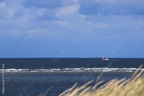 tufts of grass in the sand of the dunes of the german island langeoog with the north sea in the background © Marcus