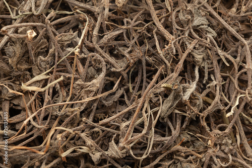 Close-up of Organic Dry Bhringraj (Eclipta prostrata) leaves, Full-Frame wallpaper. Top View photo