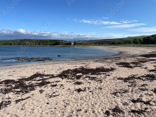 Coastal Walks