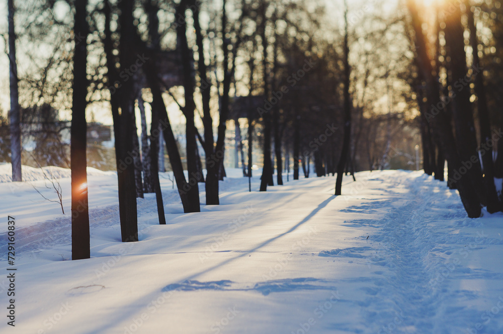 Winter path in park with snow, trees, sunlight, shadows. Perfect for a scenic walk.
