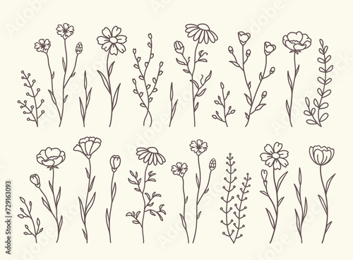 floral set wildflowers, flowers and herbs silhouettes