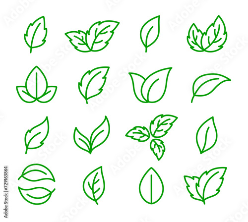 Green natural linear icons leaves  sprig and branches of plants