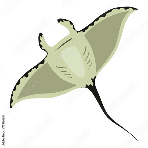 Stingray fish. Sea animal floating underwater. Cute cartoon stingray. Adorable sea creature isolated on white background. Wildlife, nature concept. Vector illustration of manta ray