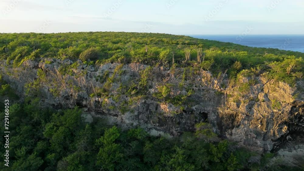 Panoramic aerial establishing overview of rocky cliff and dry arid vegetation Panoramic aerial establishing overview of rocky cliff and dry arid vegetation