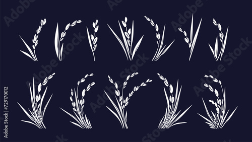 Rice plant, white grain. Vector silhouette set