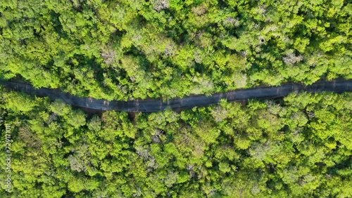Paved road cuts across dense tropical forest shrubland in Caribbean, empty photo