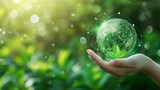 Eco-Friendly Interface: Embracing Sustainable Solutions