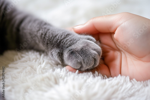Cat Paw in Human Hand