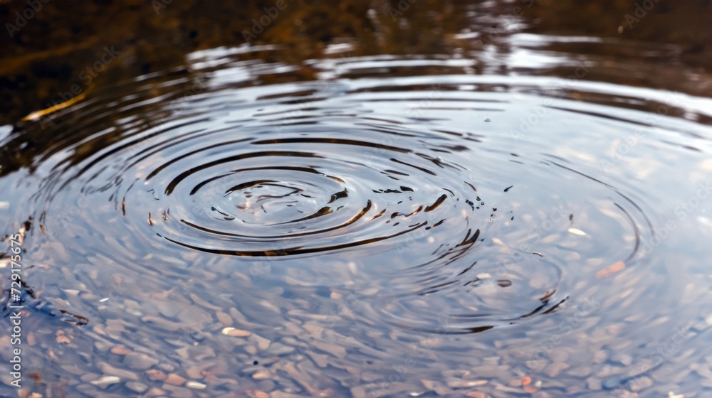 ripple in puddle, splash in a puddle ripple in puddle, splash in a puddle