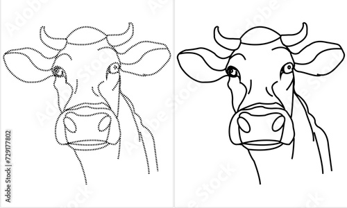cow's head on white backgroundand tracing doted  photo