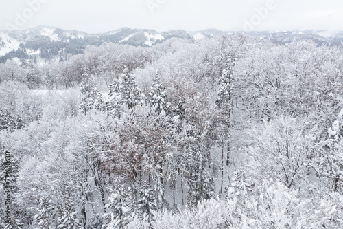 ドローン撮影：真っ白な雪に覆われた山 © snow-aiai