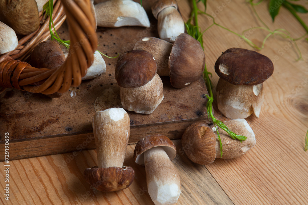 Selective focus on beautyfull porcini mushroom among the pile of wild porcini mushrooms on wooden background at autumn season.. Selective focus on beautyfull porcini mushroom among the pile of wild porcini mushrooms on wooden background at autumn season..