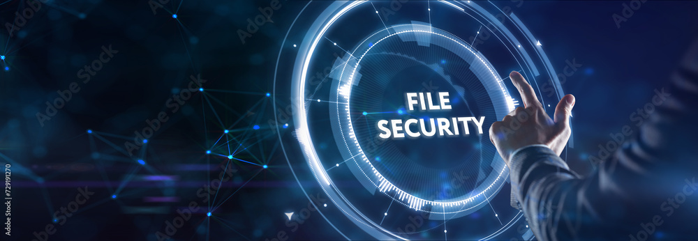 Fototapeta premium Business, Technology, Internet and network security. File security.