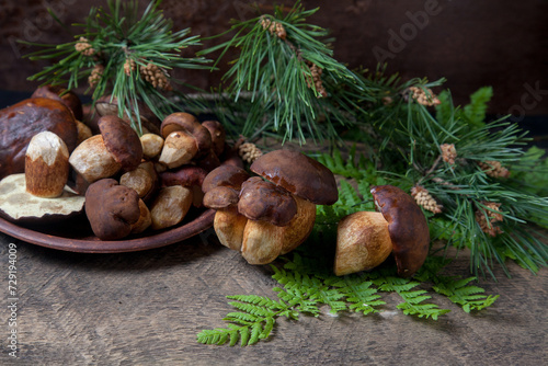 Imleria Badia or Boletus badius mushrooms commonly known as the bay bolete and clay plate with mushrooms on vintage wooden background..