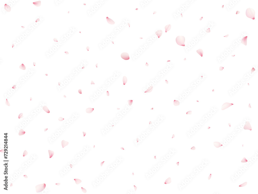 Sakura Flower Petals Sakura Flower Petals