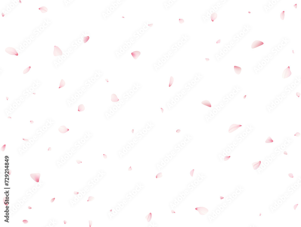 Sakura Flower Petals Sakura Flower Petals