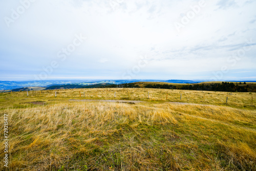 Landscape in autumn at Feldberg in the Black Forest. Feldbergsteig hiking trail. Nature in the Breisgau-Hochschwarzwald district in Baden-W  rttemberg. 