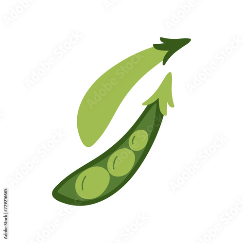 Green pea, fresh ripe vitamin open pod with beans, healthy vegetable vector illustration