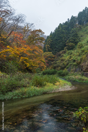 日本 宮城県大崎市鳴子温泉にある峡谷、鳴子峡の紅葉と大谷川