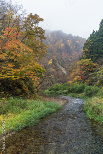 日本 宮城県大崎市鳴子温泉にある峡谷、鳴子峡の紅葉と大谷川