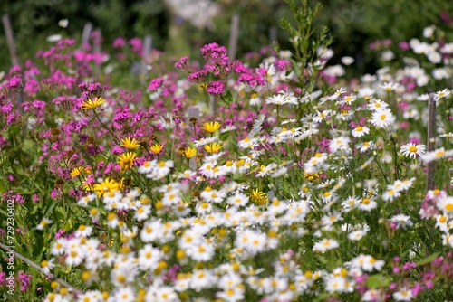 Naturlehrgarten