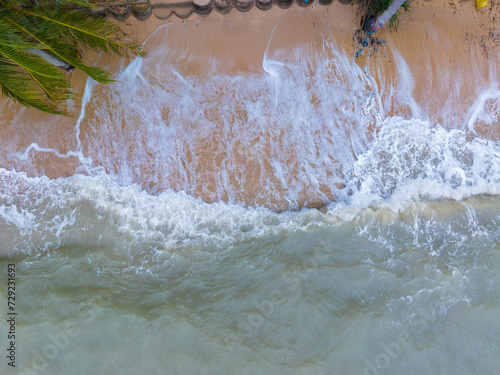 Wallpaper Mural Aerial coconut palm tree on white sand beach turquoise sea water Torontodigital.ca