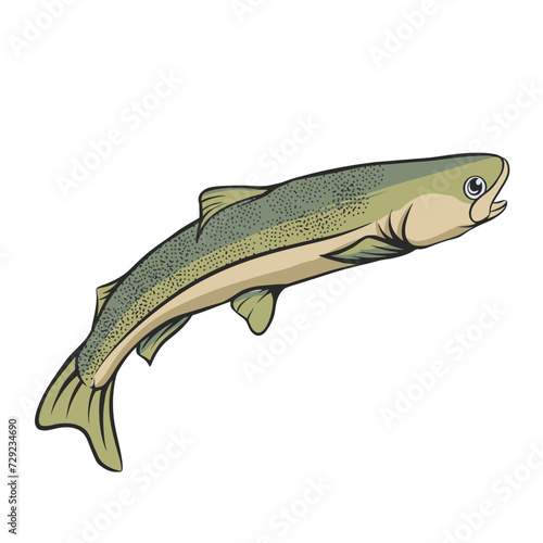 trout fish vector illustration editable separated layers