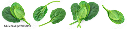 Fesh spinach leaves isolated on white background. Espinach Set. Pattern. Flat lay. Creative layout of Salad leaves. photo