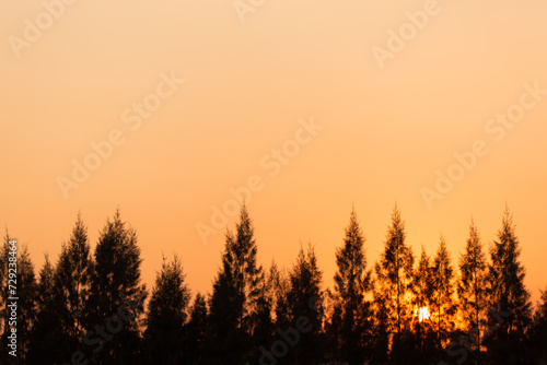 vintage soft tone, Abstract nature background with grass in the meadow and sunset. picture can used wallpaper desktop or copy space for add text message. Nature concept.