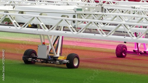 Football pitch maintenance, applying purple light for quality grass growing