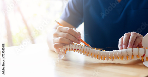 close up physical therapist hand pointing on human skeleton at middle back to advise and consult to patient to treatment at office for healthcare concept