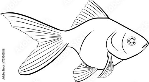 goldfish outline illustration isolated on transparent background