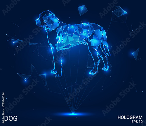 A hologram of a dog. A dog made of polygons, triangles of dots and lines. The dog has a low-poly compound structure. Technology concept vector.