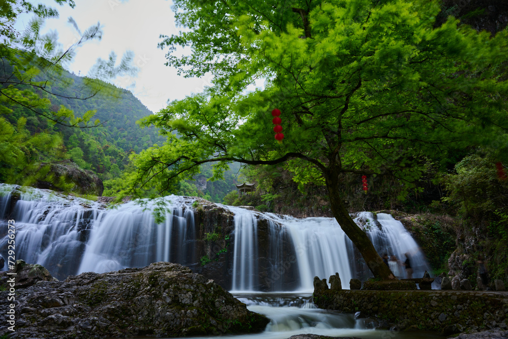 Fototapeta premium waterfall in the forest