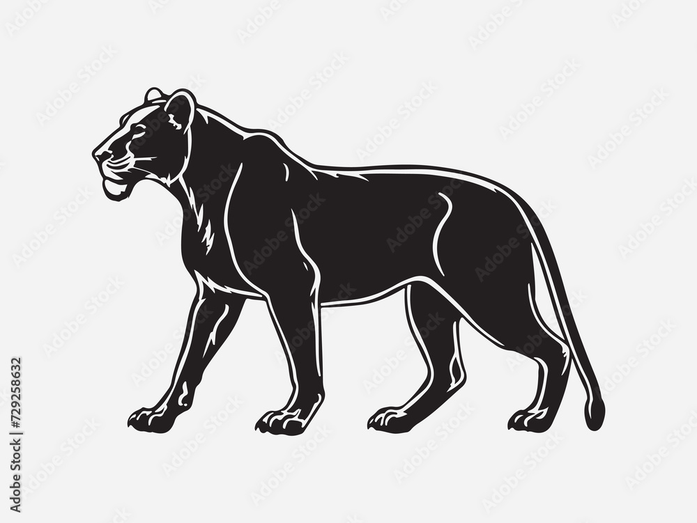 Fototapeta premium Silhouette of a female lion