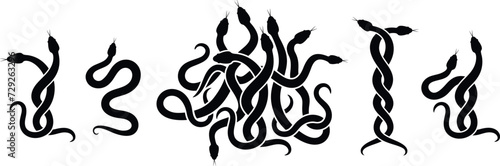 Snake logo. Isolated snake on white background