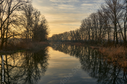 Dawn on a forest river, the sun has just risen above the horizon and illuminates the tall trees growing on the banks of the river, the sky is reflected in the calm water