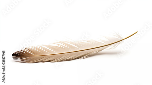 Quill with white background. generative ai
