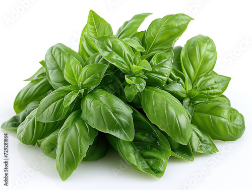 fresh herbs basil white background