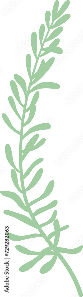 leaves. Hand drawn decorative elements leaves. Hand drawn decorative elements