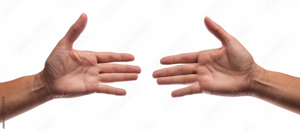 Beautiful woman's palm with bent fingers seen from both front and back, isolated on white. Beautiful woman's palm with bent fingers seen from both front and back, isolated on white.