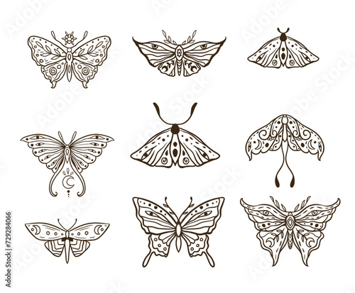 Butterfly Vector illustration. Vintage hand drawn tattoo. Magic Animal nature in Zen boho style. Black and white