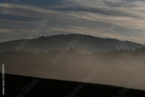 Morgennebel auf dem Lande. Stimmungsvolle Wald und Wiesenlandschaft mit leichtem Nebel