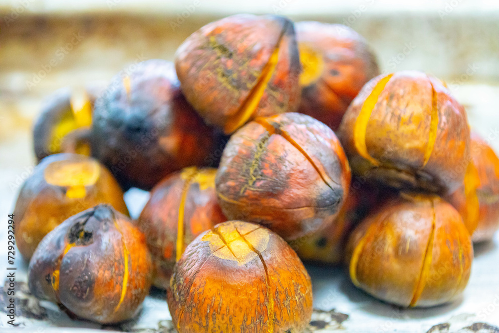 Fototapeta premium Roasted fruit of the pupunha palm (Bactris gasipaes), typical fruit of the Brazilian tropical forests, Amazonas, Pará, Rondônia and Acre.