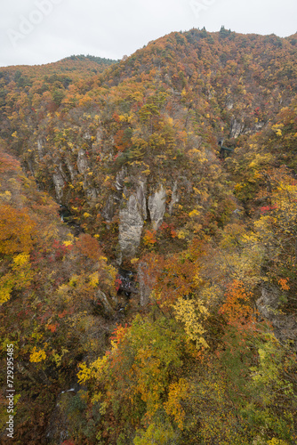 日本 宮城県大崎市鳴子温泉の鳴子峡の大深沢橋から見える紅葉と峡谷