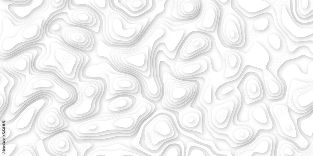 3d render, abstract white paper background. Paper cut vector art background banner texture. multi layer cutout geometric pattern on vector, Abstract soft white background with waves. 3d render, abstract white paper background. Paper cut vector art background banner texture. multi layer cutout geometric pattern on vector, Abstract soft white background with waves.