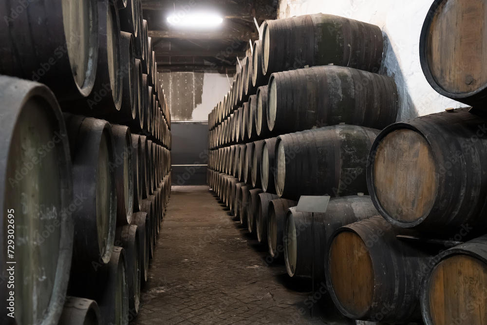 Barrels in wine cellar