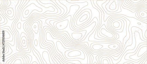 Abstract topographic Contour Map Subtle White Vector Background . Blank Detailed topographic patter line map background .Topographic Map Of wild west abstract Vector Background. 